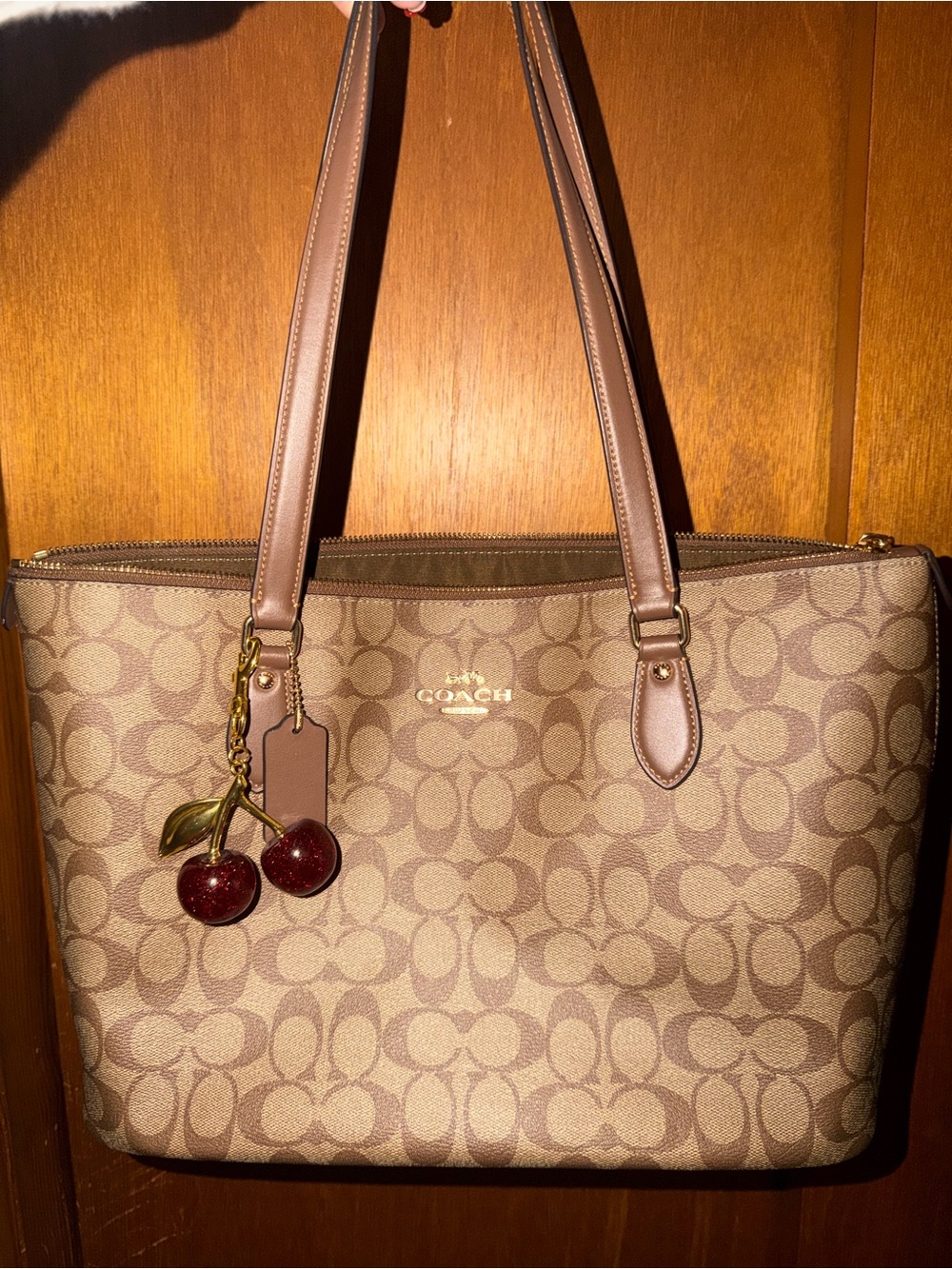 Coach Brown Signature Canvas Tote (charm not included)